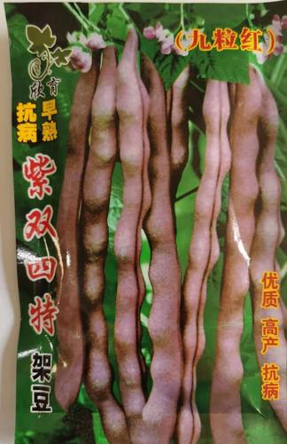 紫双四特架豆