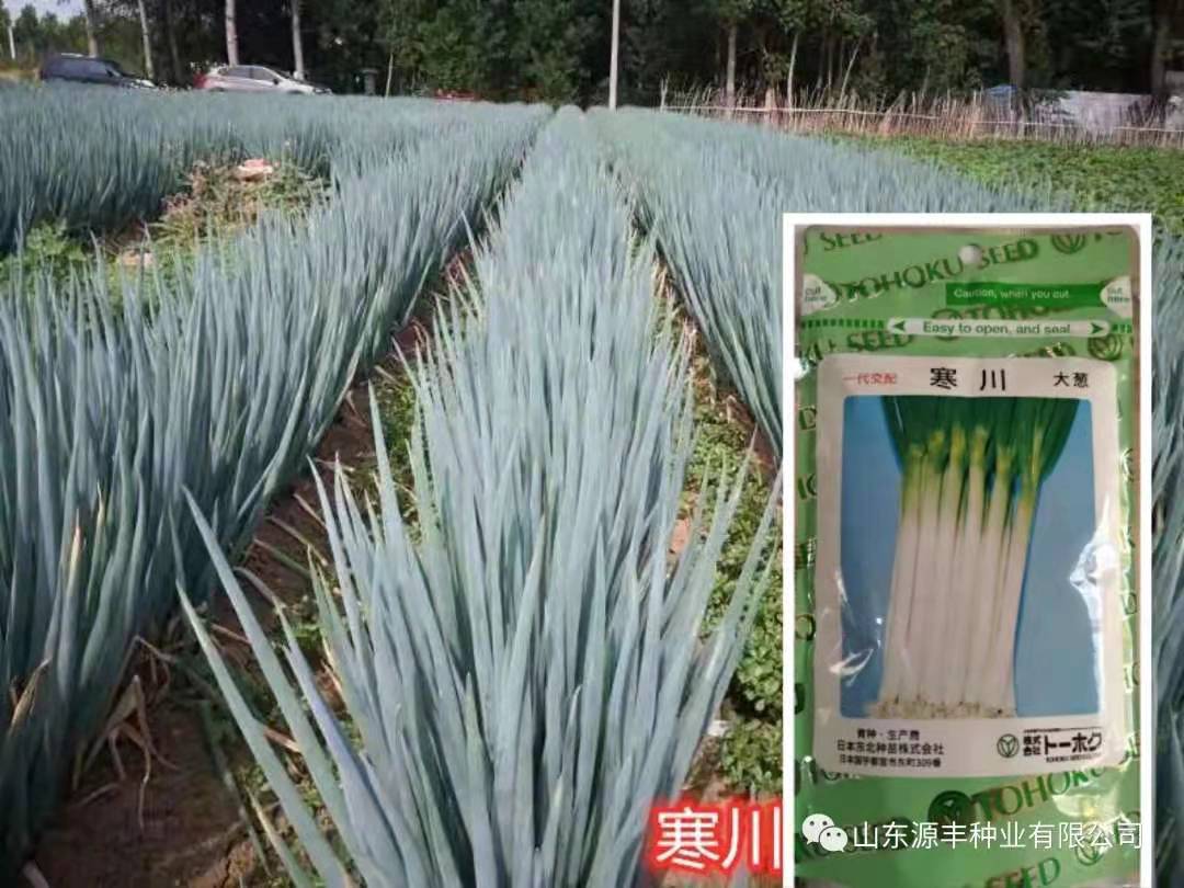微信图片_202104190935107.jpg