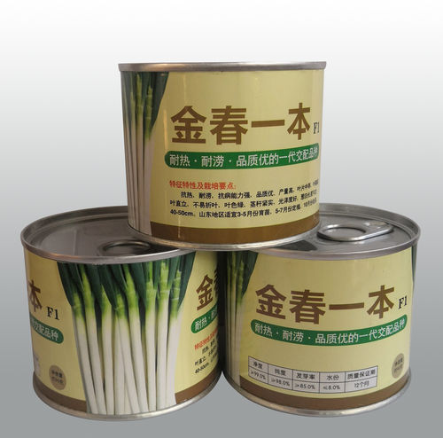 金春一本