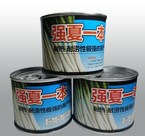 强夏一本